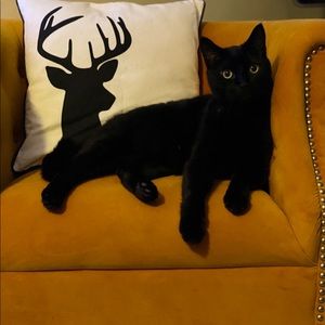 Meet your Posher, Rianna